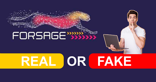 Is Forsage.io Real or Fake - Metabuzz360