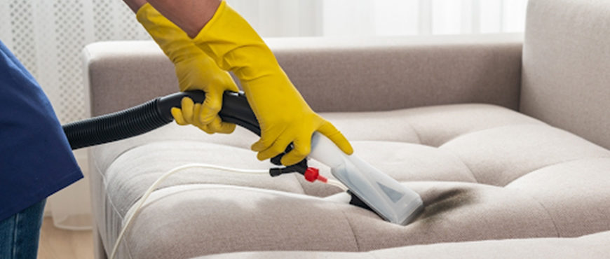 Everything to Know About Professional Sofa Cleaning Services