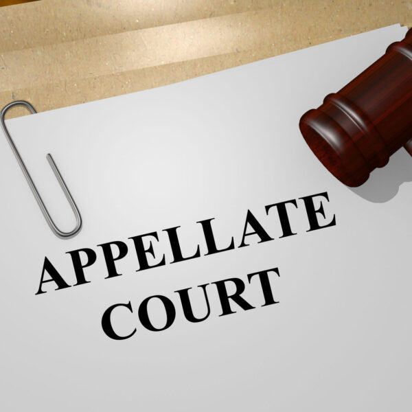 Decoding Appellate Law: Navigating Appeals with Ease